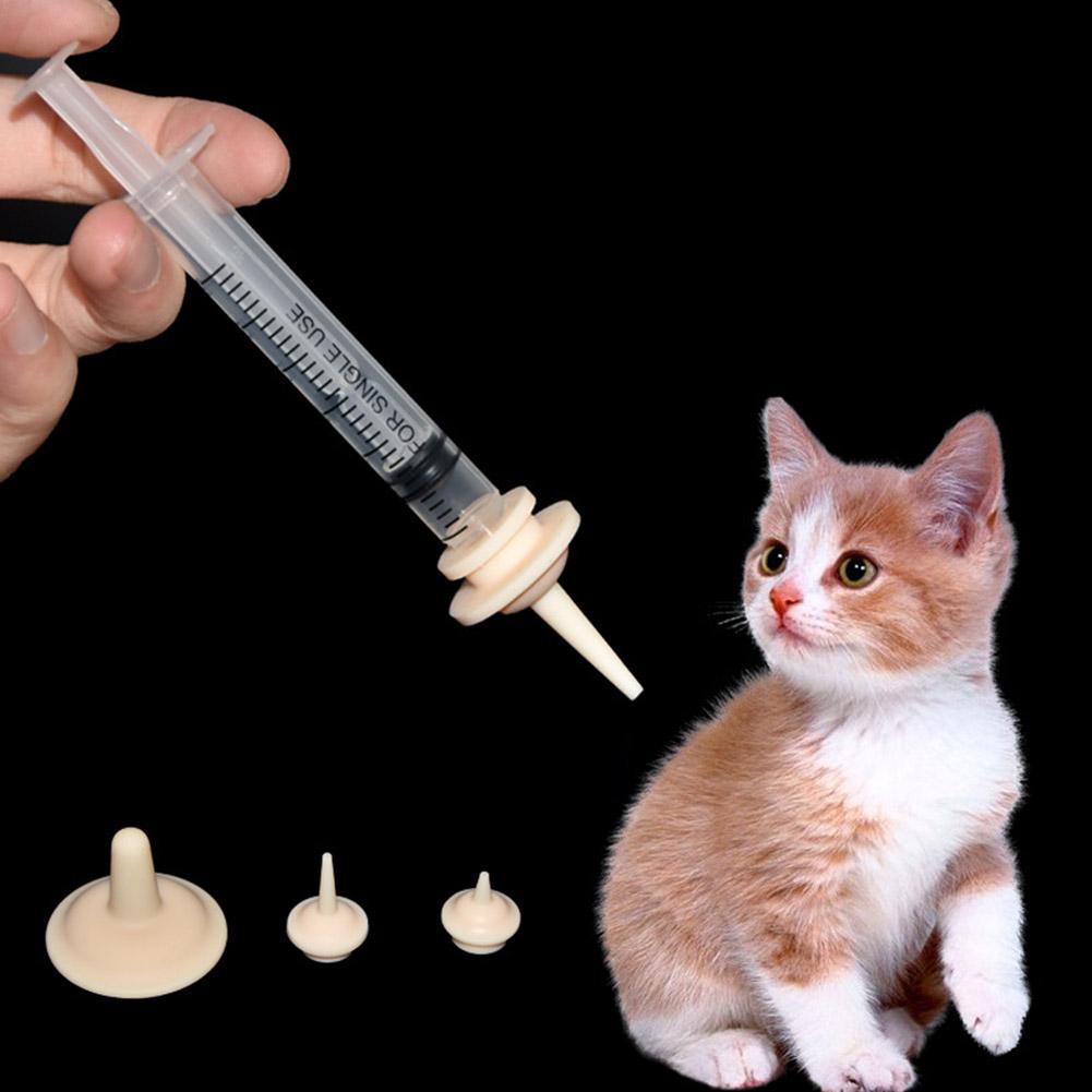 Food Grade Soft Silicone Dogs  - Baby Food Cat ulasan dan harga