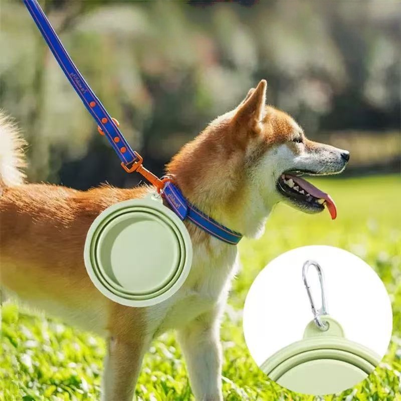 Foldable Pet Bowl, Portable Tr - Baby Food Cat ulasan dan harga
