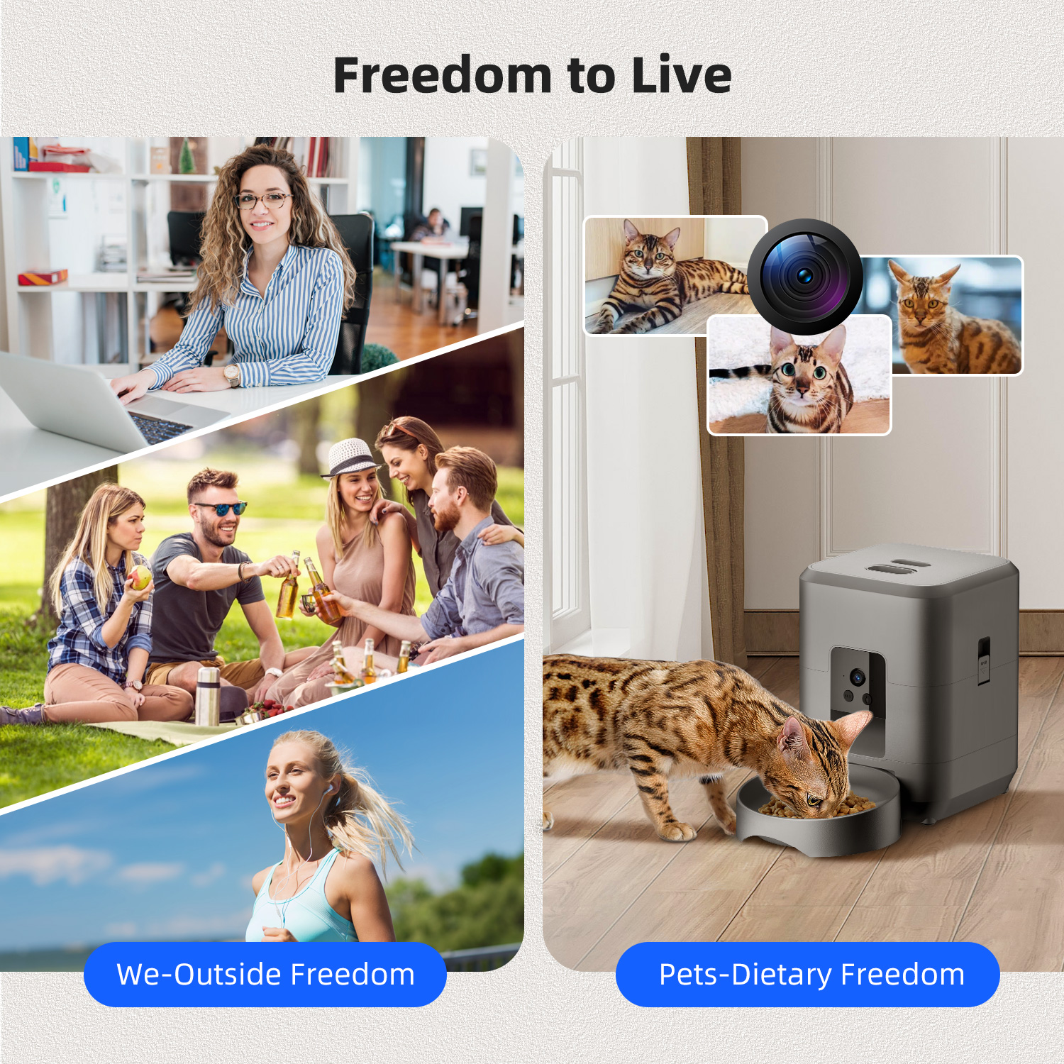 2L with video automatic cat fe - Baby Food Cat ulasan dan harga
